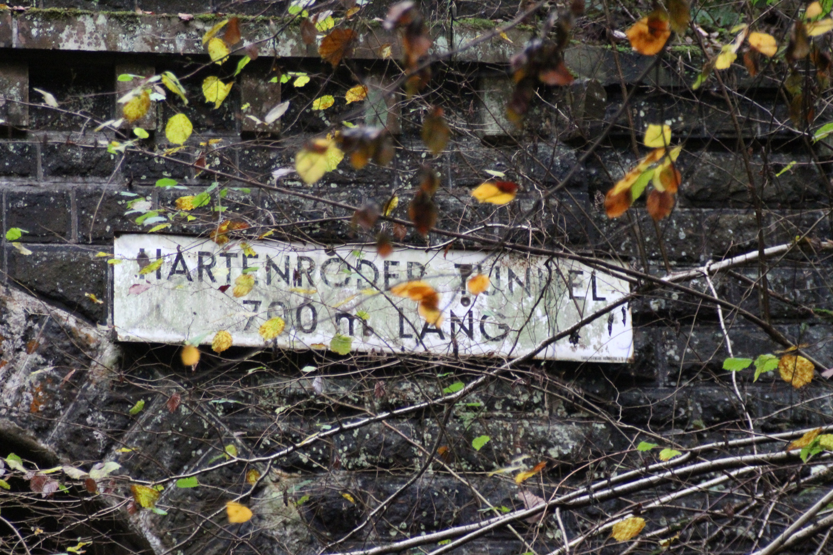 Der Tunnel von Hartenrod 3