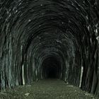 Der Tunnel von Hartenrod