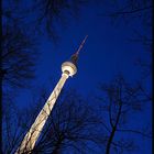 Der Turm