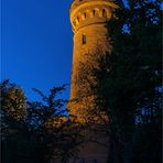 Der Turm auf dem Wartenberg bei Calbe