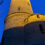 Der Turm auf dem Wartenberg bei Calbe (2)