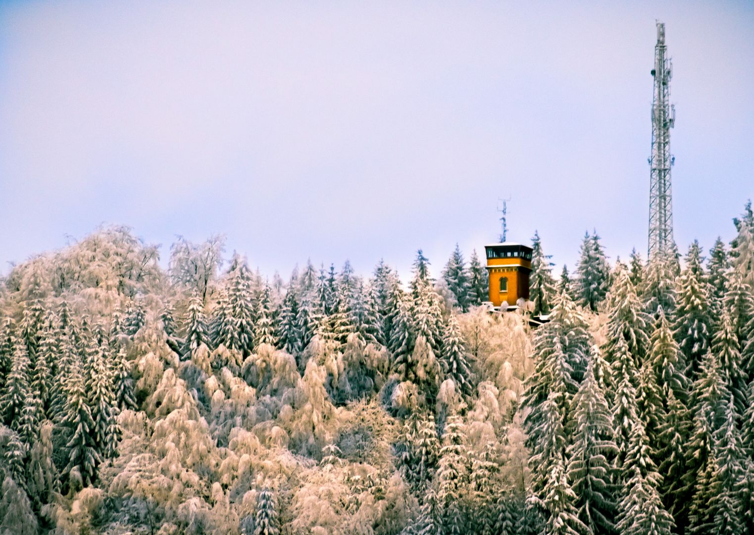 Der Turm im Wald