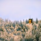 Der Turm im Wald