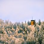 Der Turm im Wald