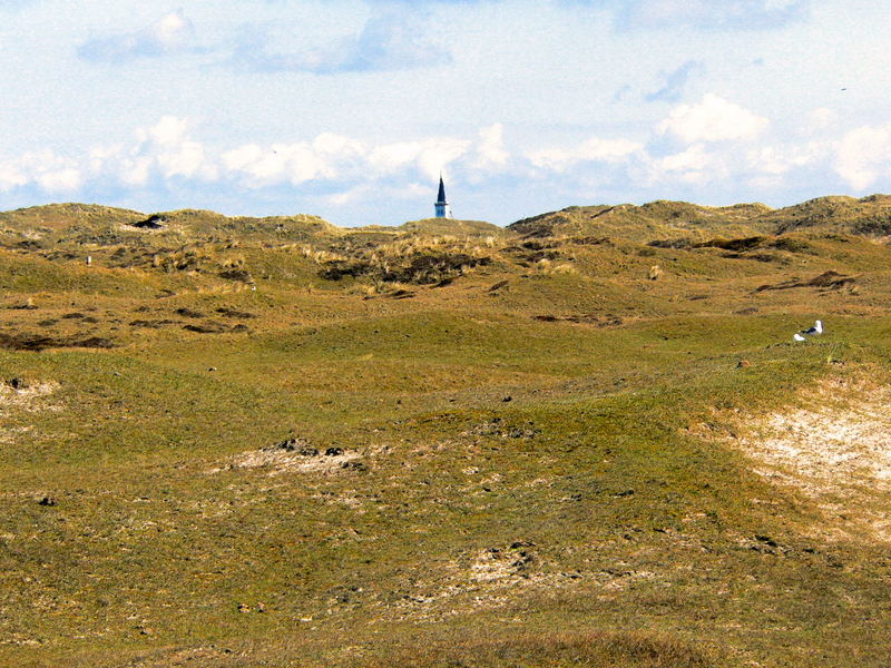 Der Turm in der Weide