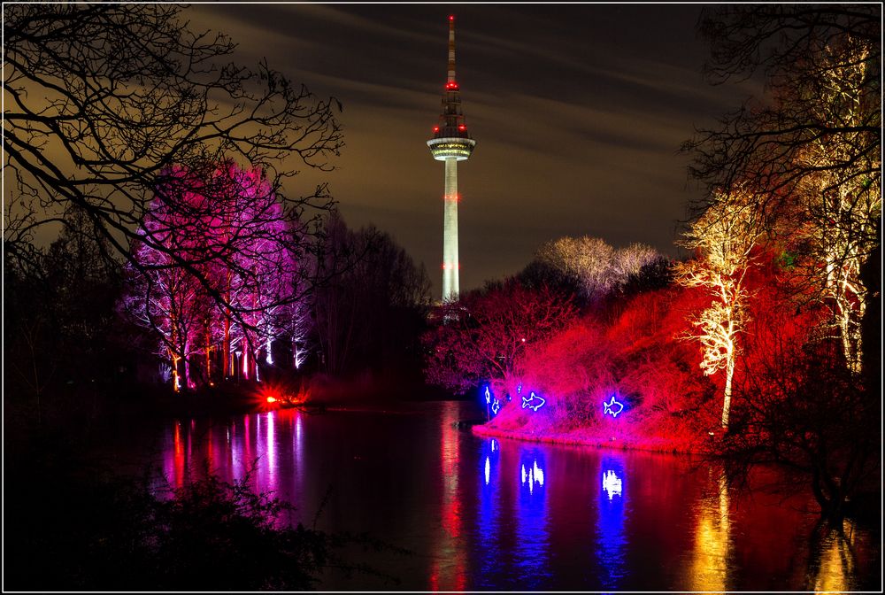 Der Turm und das Licht