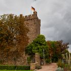 Der Turm und der Garten der Burg Klopp