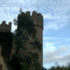 Der Turm von Mallaghide Castle