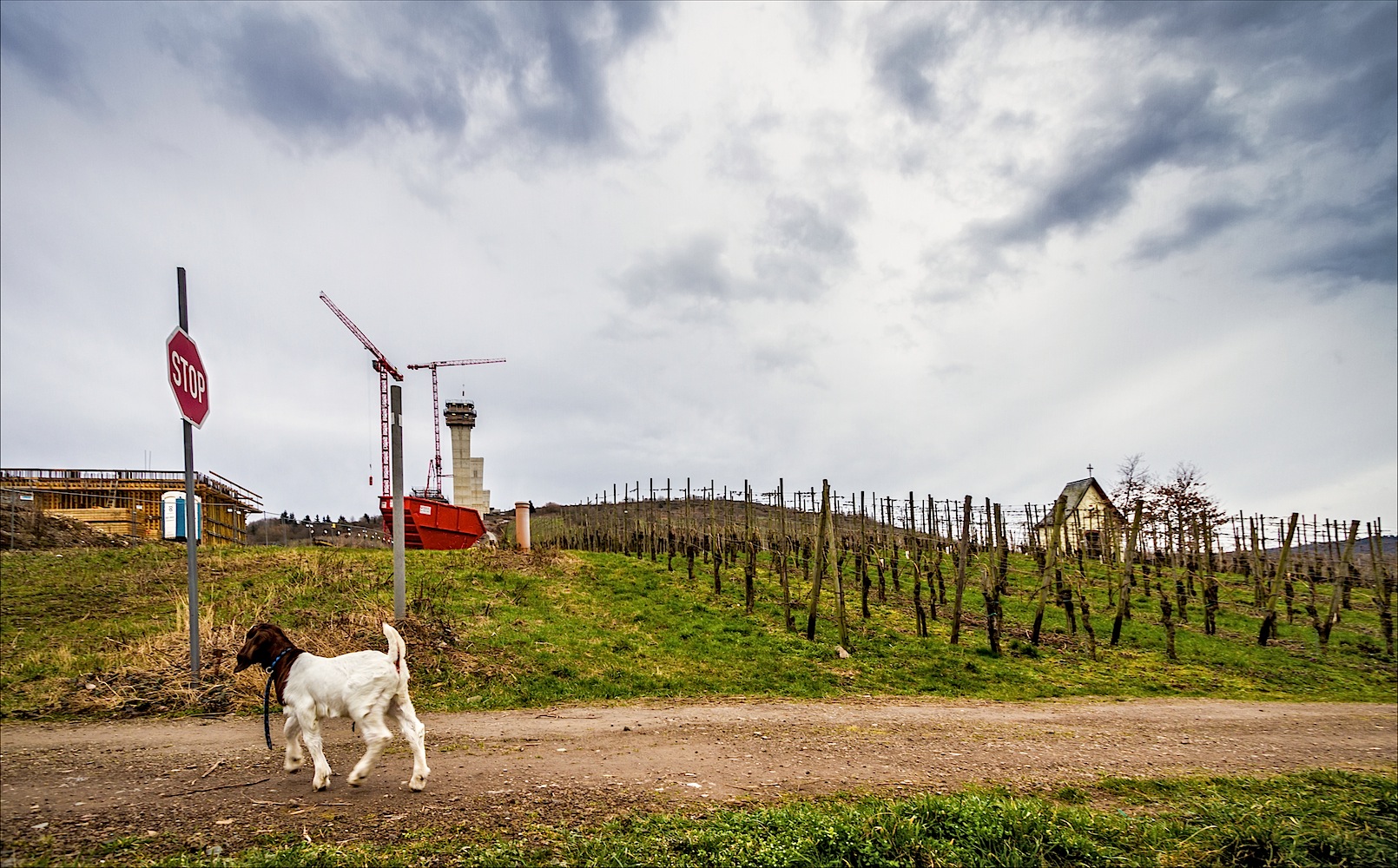 Der Turmbau über das Tal der Ahnungslosen