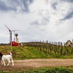 Der Turmbau über das Tal der Ahnungslosen