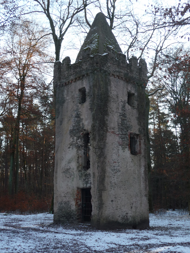 Der Turme im Wald bei Wolfgang