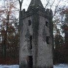 Der Turme im Wald bei Wolfgang