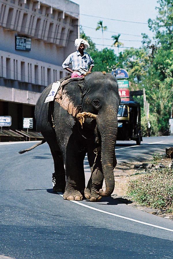 Der typisch Indische LKW