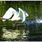 Der über das Wasser läuft