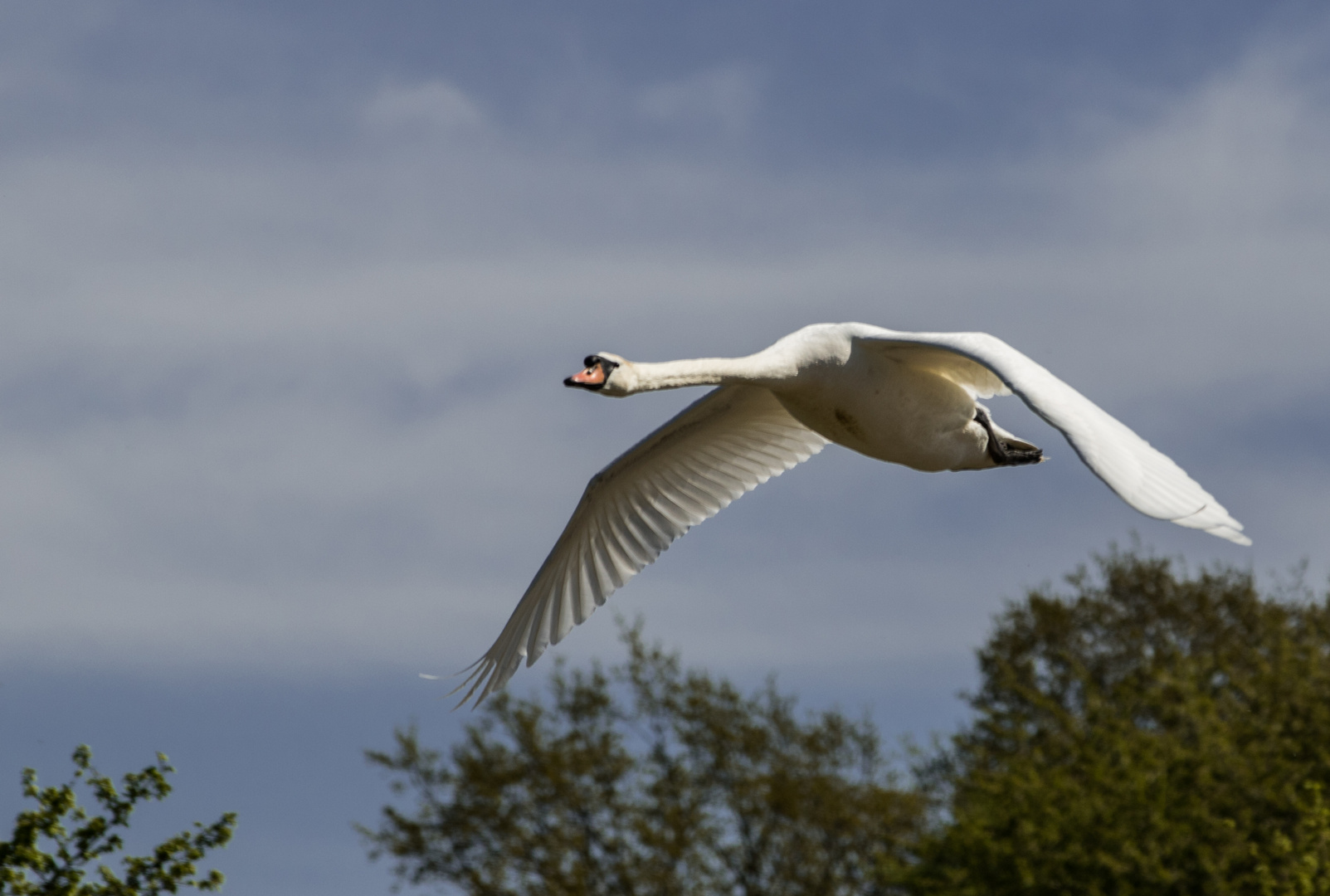 Der Überflieger