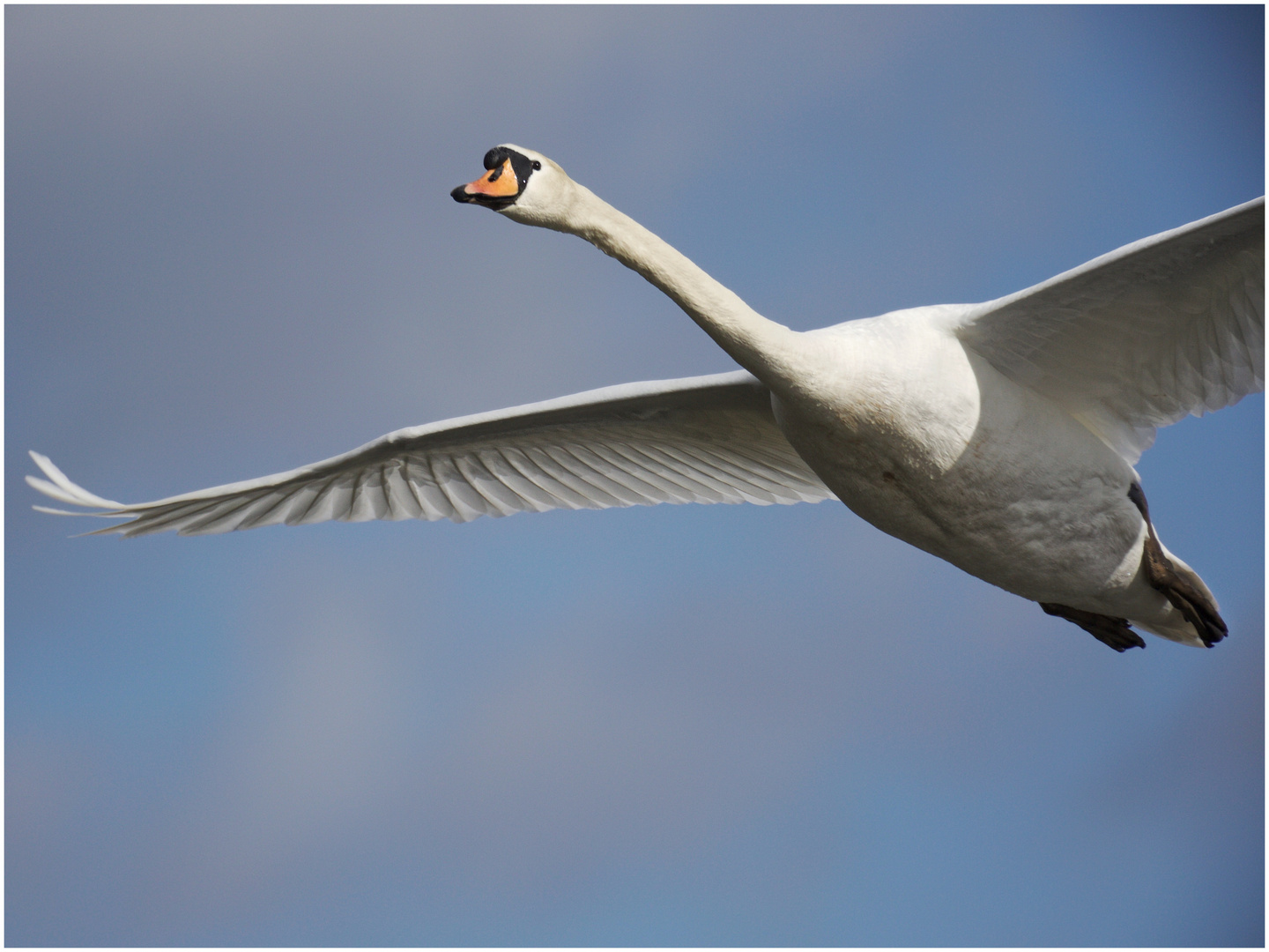 Der Überflieger