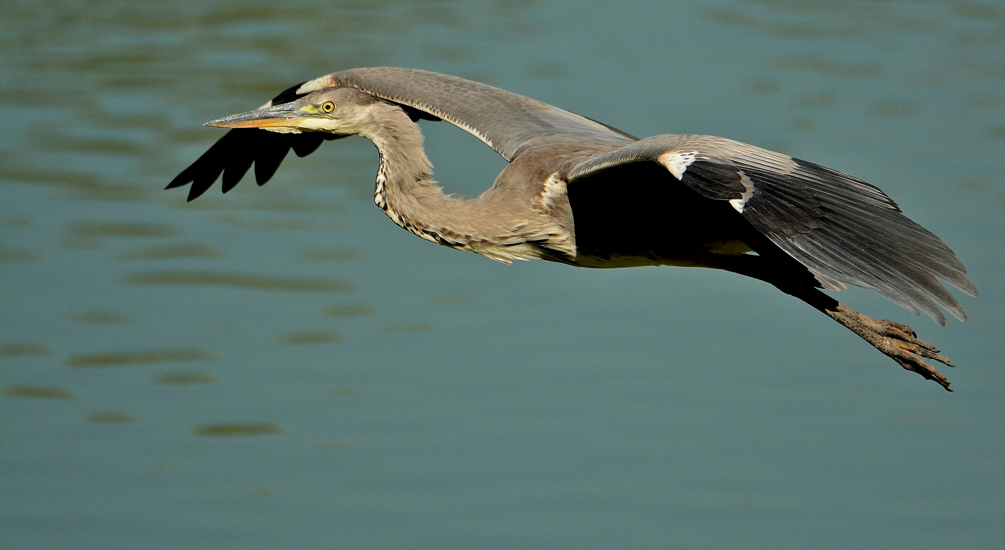 Der Ueberflieger