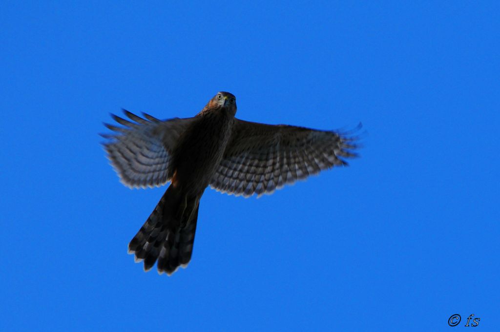 Der Überflug