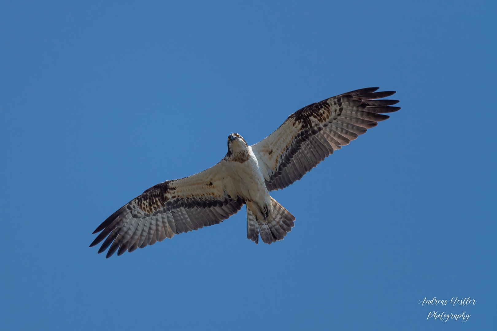 Der Überflug