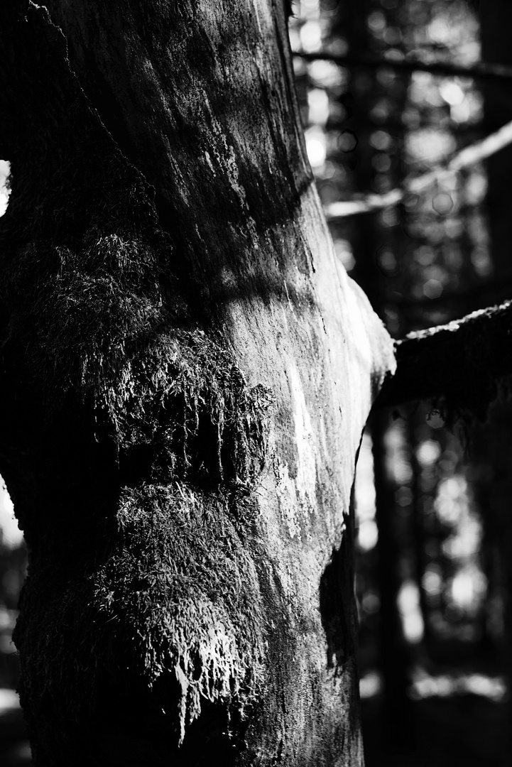 Der Übergang. Foto & Bild art, france, world Bilder auf
