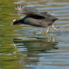 Der über`s Wasser geht