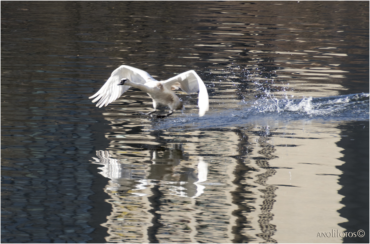 Der über's Wasser lief ;-))