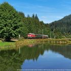 Der UEF "Dampf"-Zug mit 218 484 im Schwarzwald ...