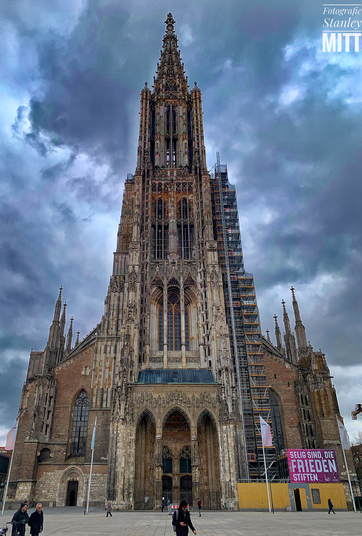 Der Ulmer Münster