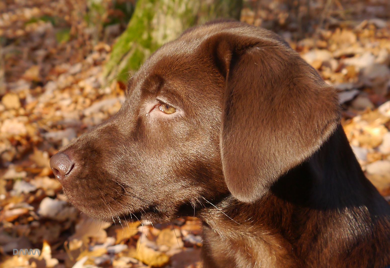 Der ultimative Abby-Blick