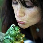Der Ultimative küssende Frosch