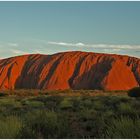 Der Uluru...