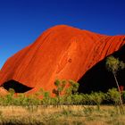 Der Uluru schaut dich an!