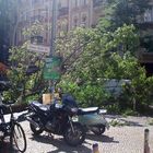 Der umgefallene Baum in Berlin-Friedrichshain.