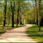 Der unbegehrte Weg - Der Frühling ist endlich da!