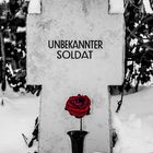 Der Unbekannte Soldat