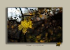 der unendliche Herbst