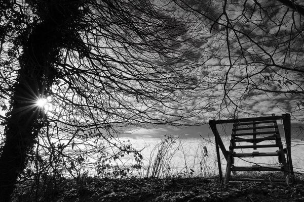 Der unfreiwillige Liegestuhl und ein Sonnenstern