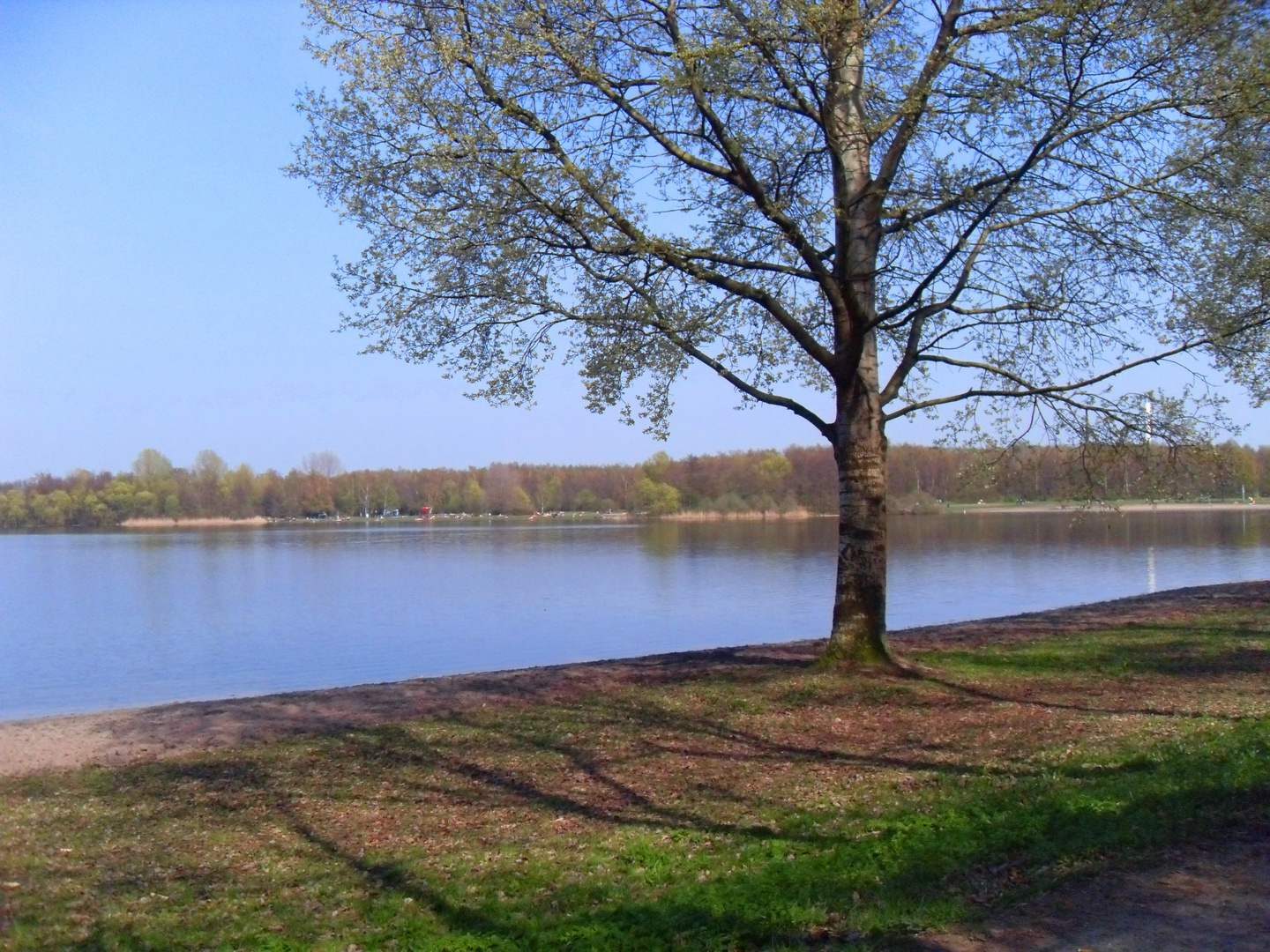 Der Unisee im Frühling