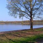 Der Unisee im Frühling