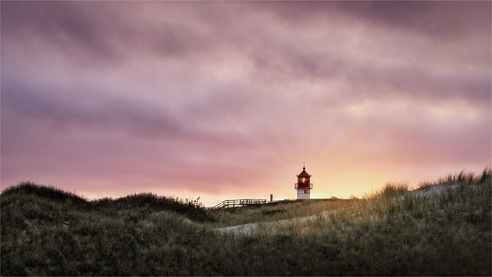 ::: Der | Unscheinbare :::