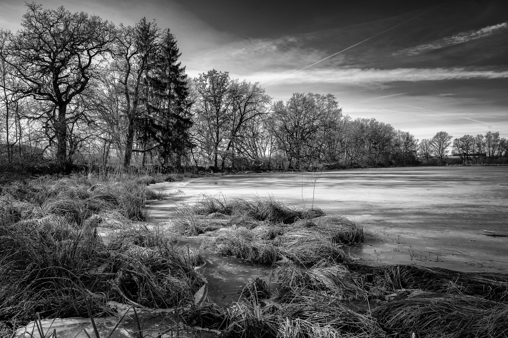 Der Unterhölzer Weiher in Donaueschingen