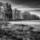 Der Unterhölzer Weiher in Donaueschingen