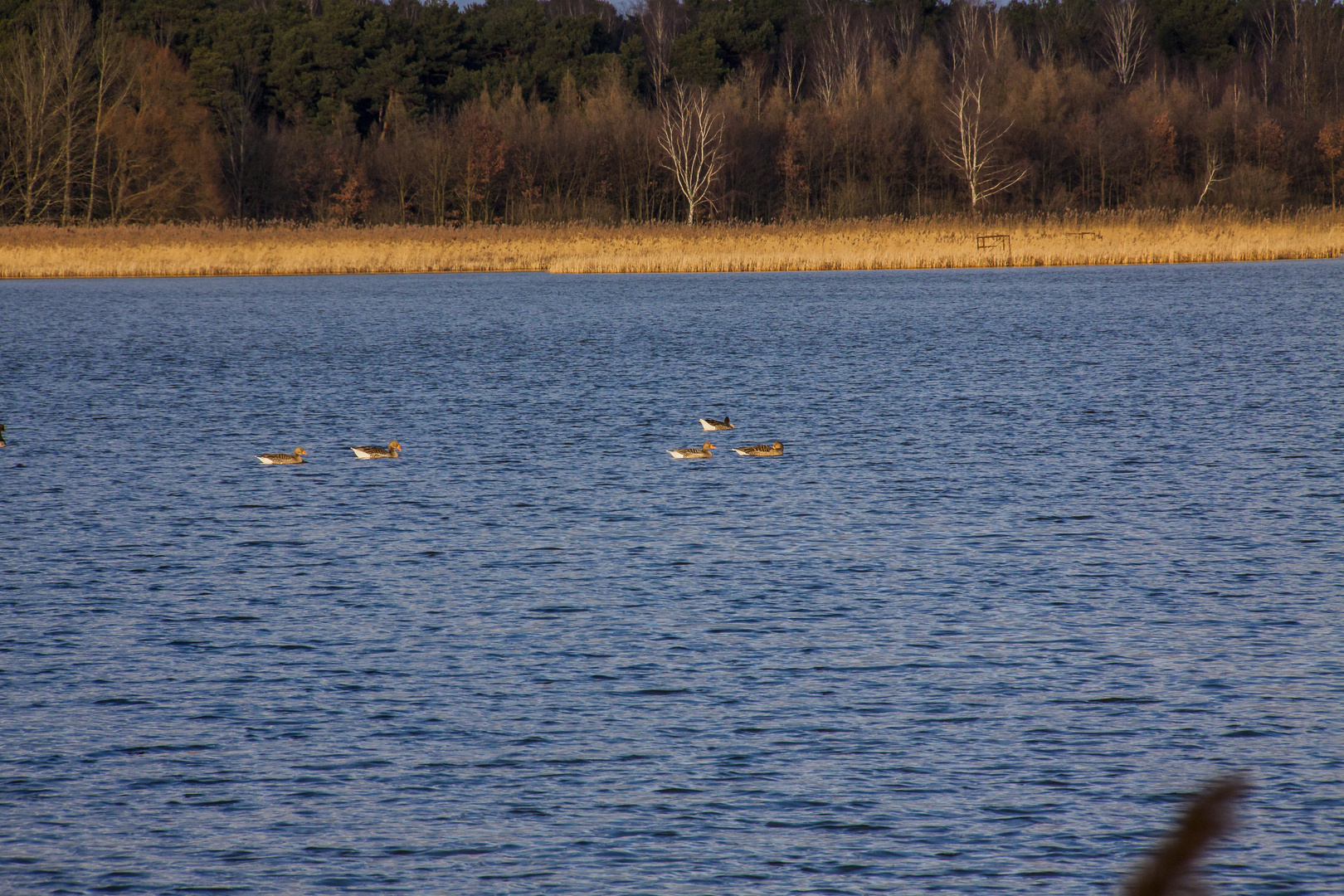 Der Unterteich 