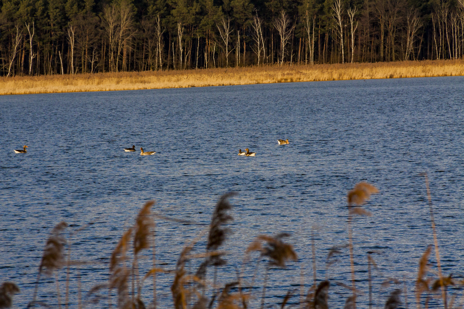 Der Unterteich 