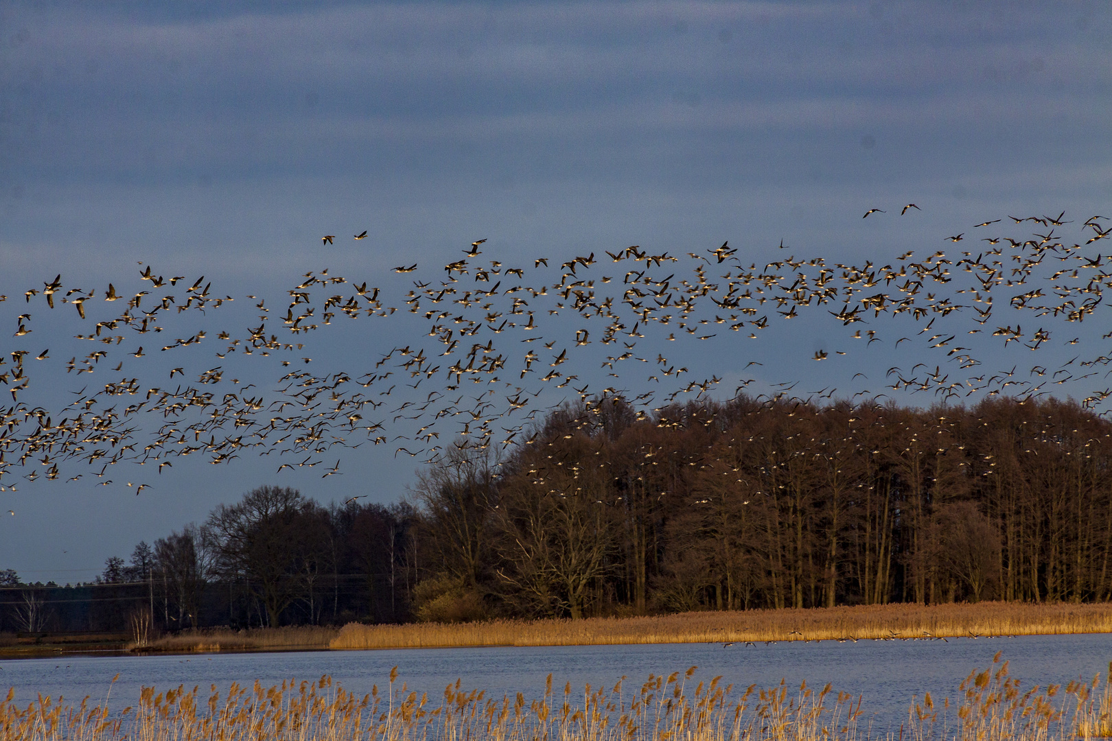 Der Unterteich 