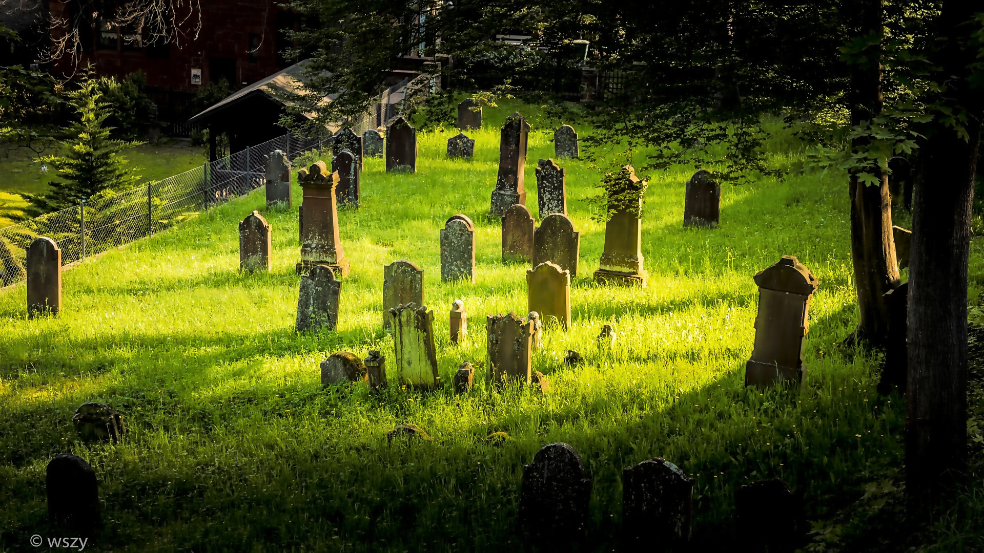 Der unzerstörte jüdische Friedhof in Miltenberg am Main