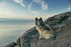 Der Urlaub ihres Lebens