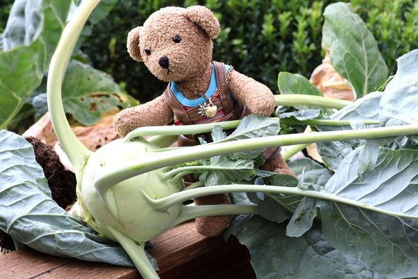 der Urlaub ist vorbei