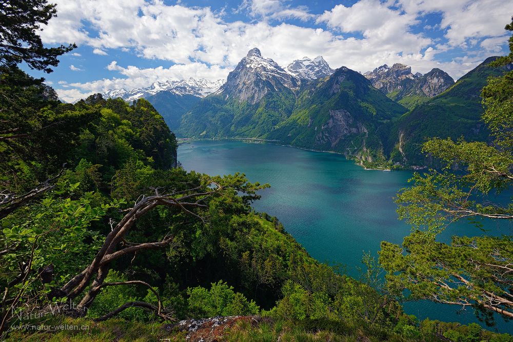 Der Urner Fjord