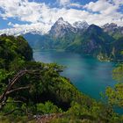 Der Urner Fjord